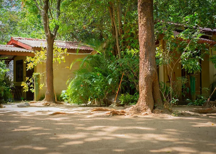 Sigiri Serenity Homestay