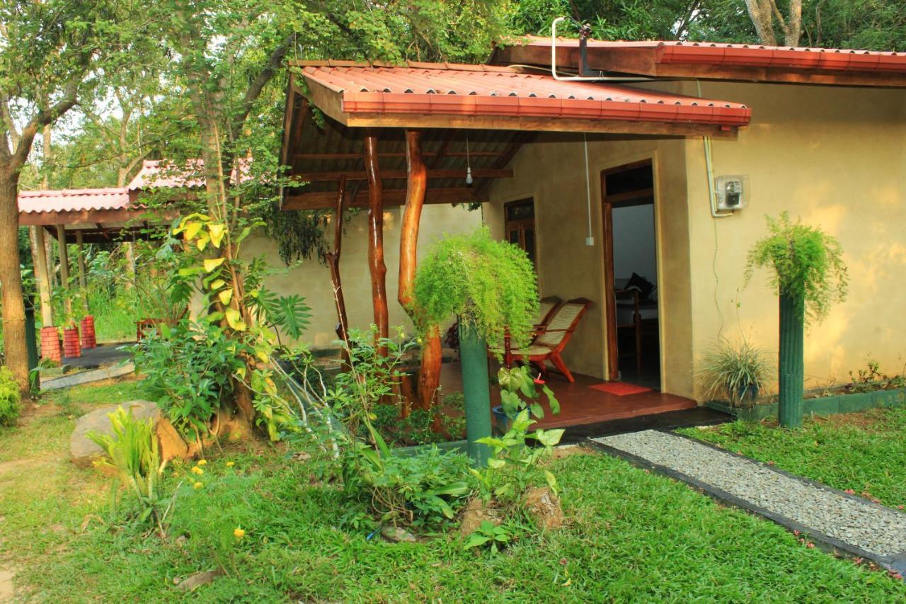 Joshua's Sigiriya