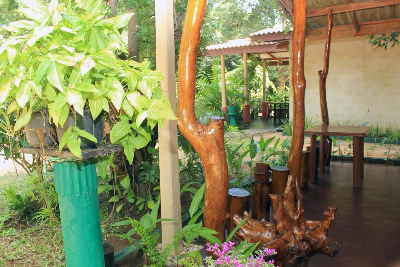 Sigiri Serenity Homestay * Сигирия