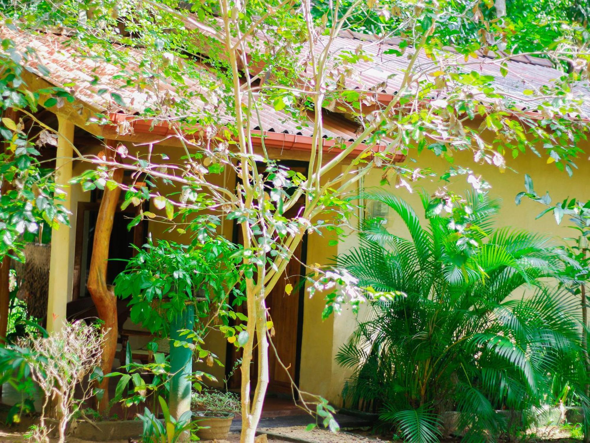 Joshua's Appartement *