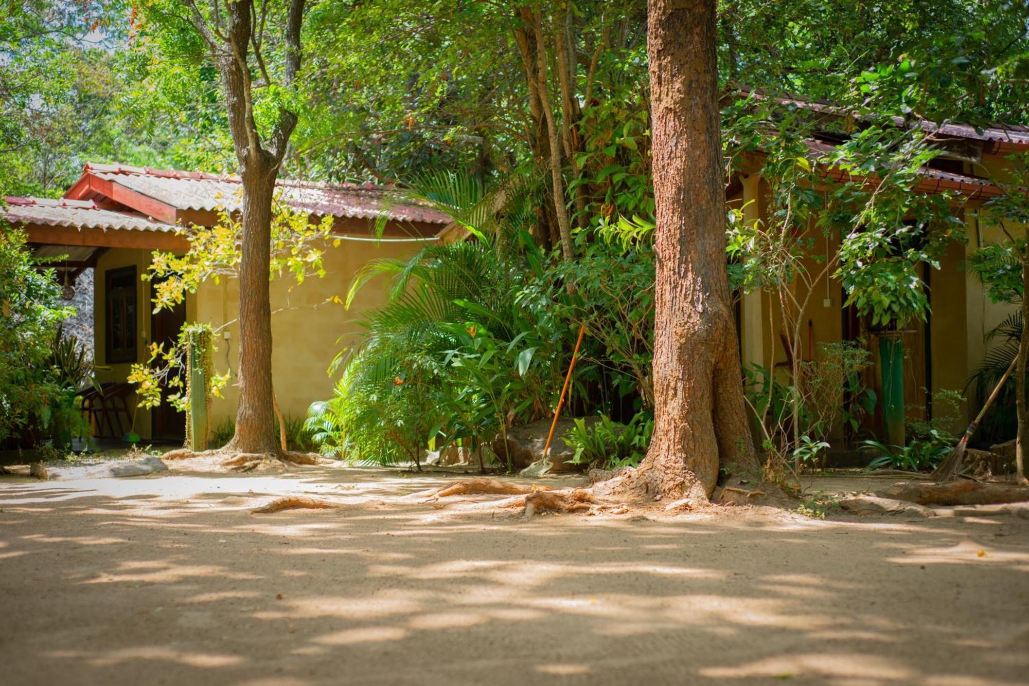 Sigiri Serenity Homestay Апартаменты *